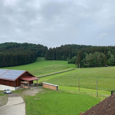 Idyllisches Ferienapartment Allgaeu Bad Grönenbach Zewnętrze zdjęcie