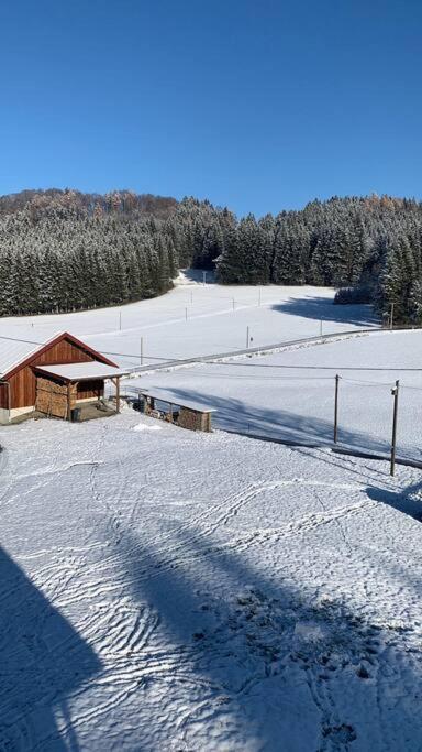 Idyllisches Ferienapartment Allgaeu Bad Grönenbach Zewnętrze zdjęcie