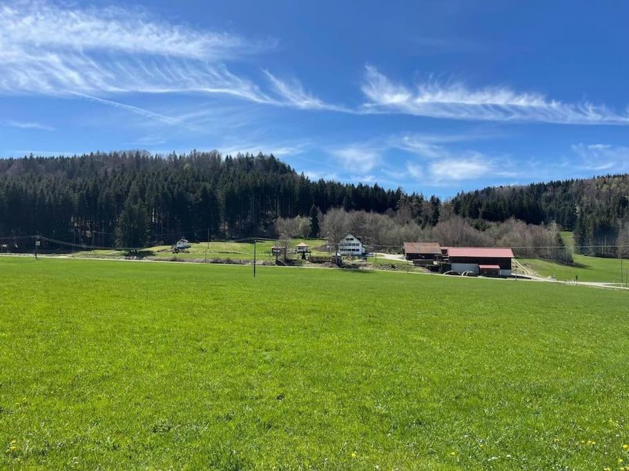 Idyllisches Ferienapartment Allgaeu Bad Grönenbach Zewnętrze zdjęcie